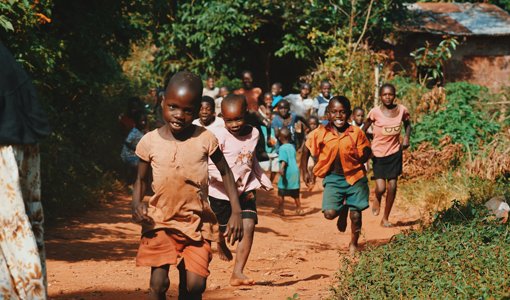 Tree Plantation Drive